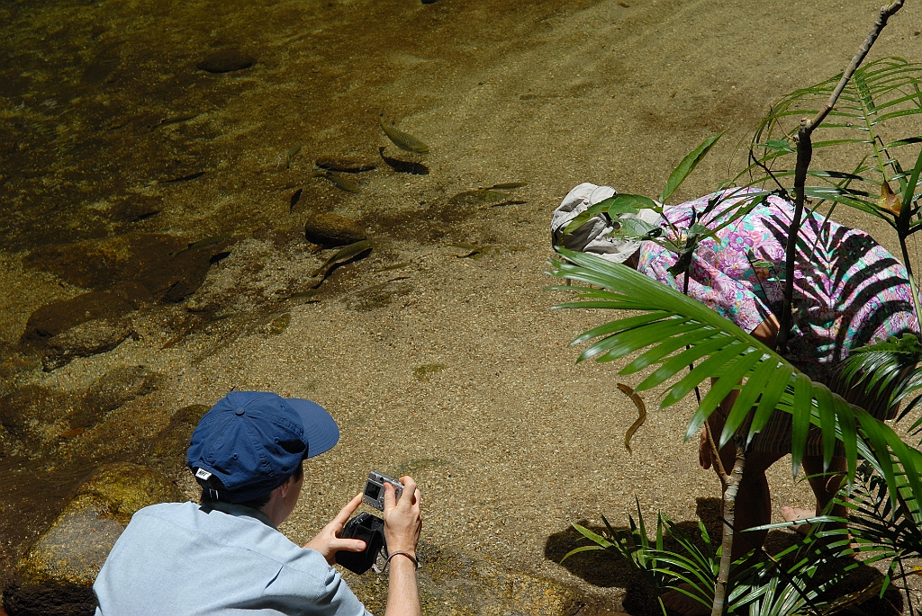 0992 Mossman Gorge.jpg